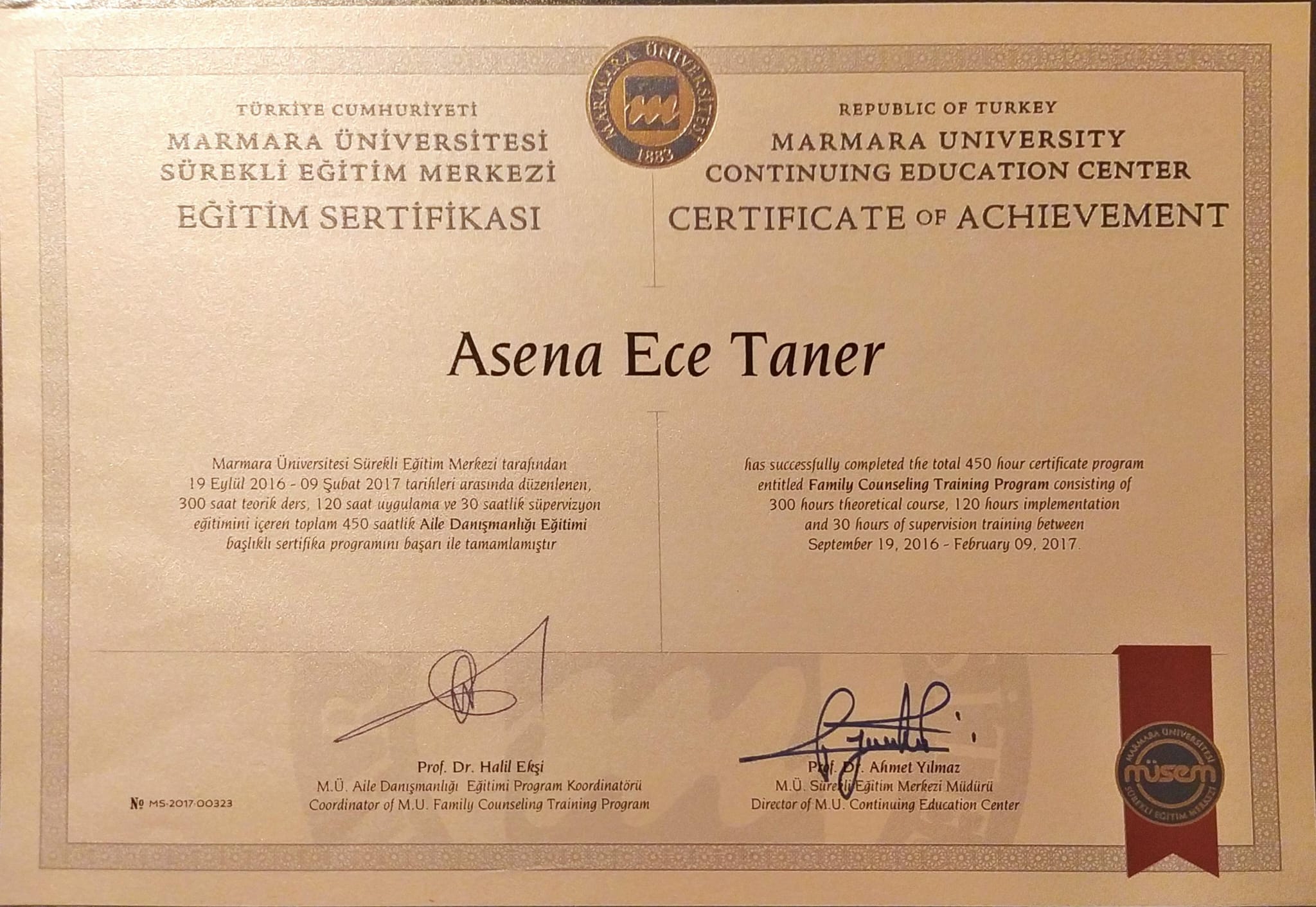 Aile Danışmanlığı Eğitimi sertifikası