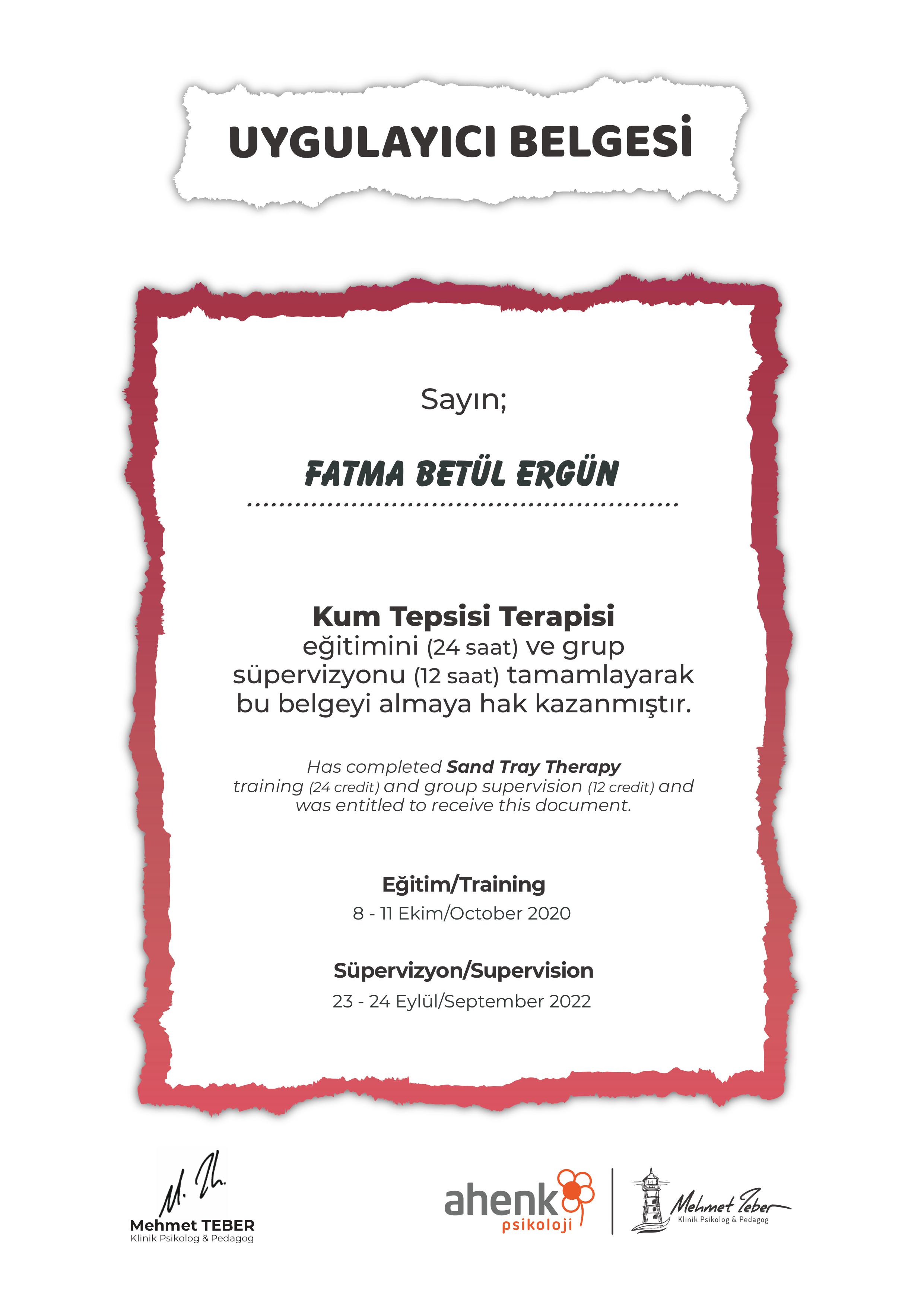 Kum Tepsisi Terapisi sertifikası