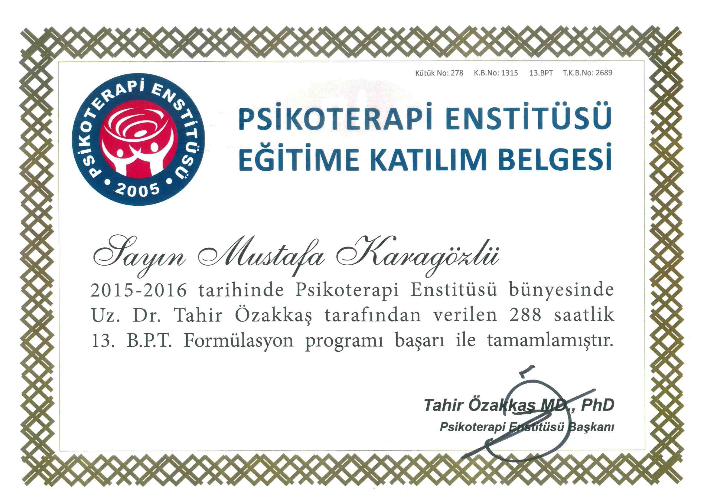 PSİKOTERAPİ ENSTİTÜSÜ EĞİTİME KATILIM BELGESİ 1 sertifikası