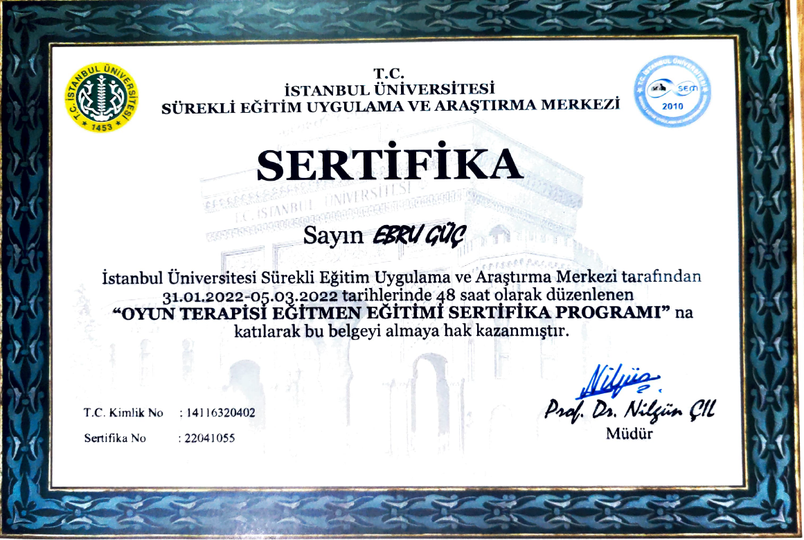 Oyun Terapisi Eğitmen Eğitimi sertifikası