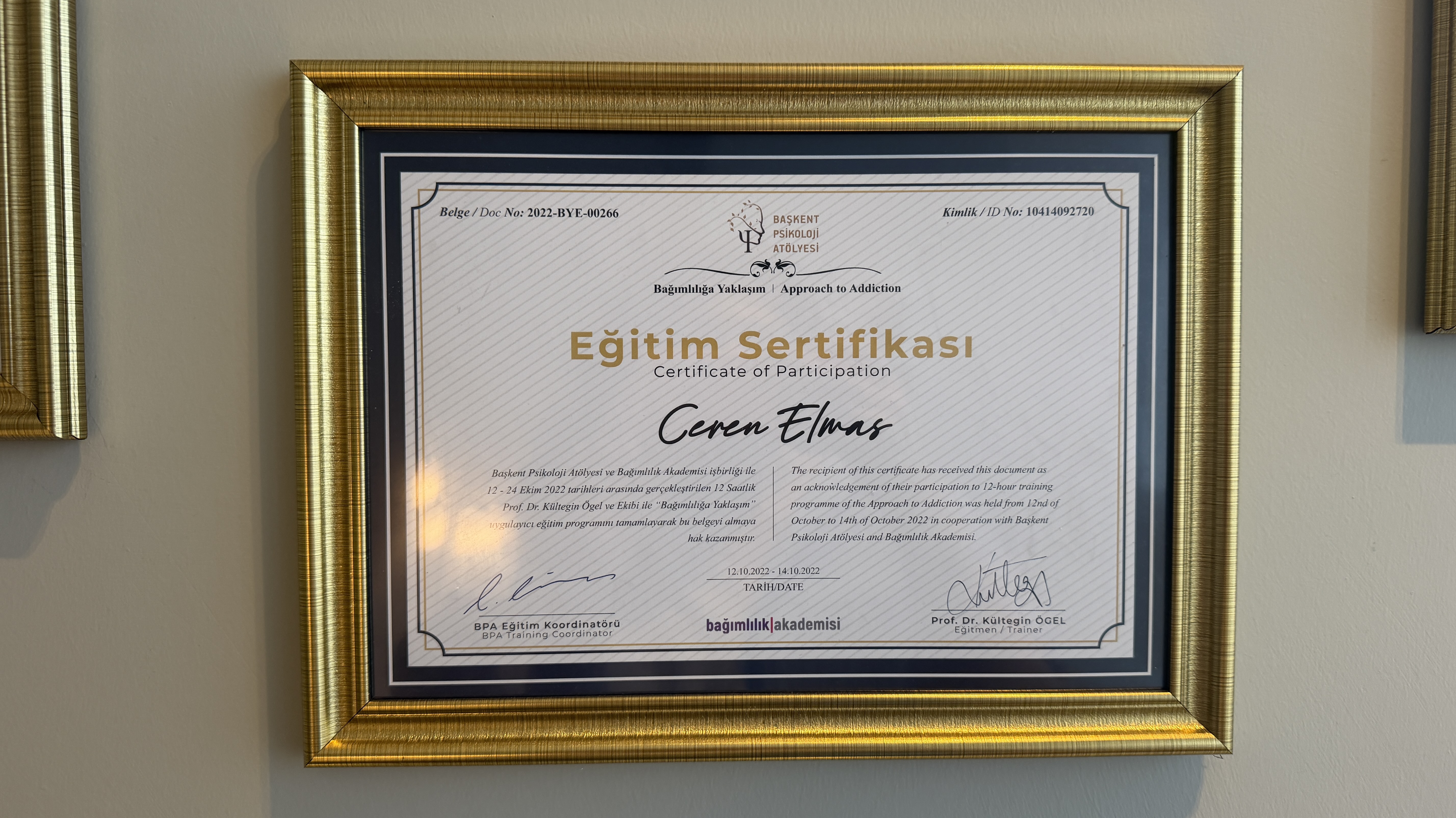 Bağımlılığa Yaklaşım sertifikası