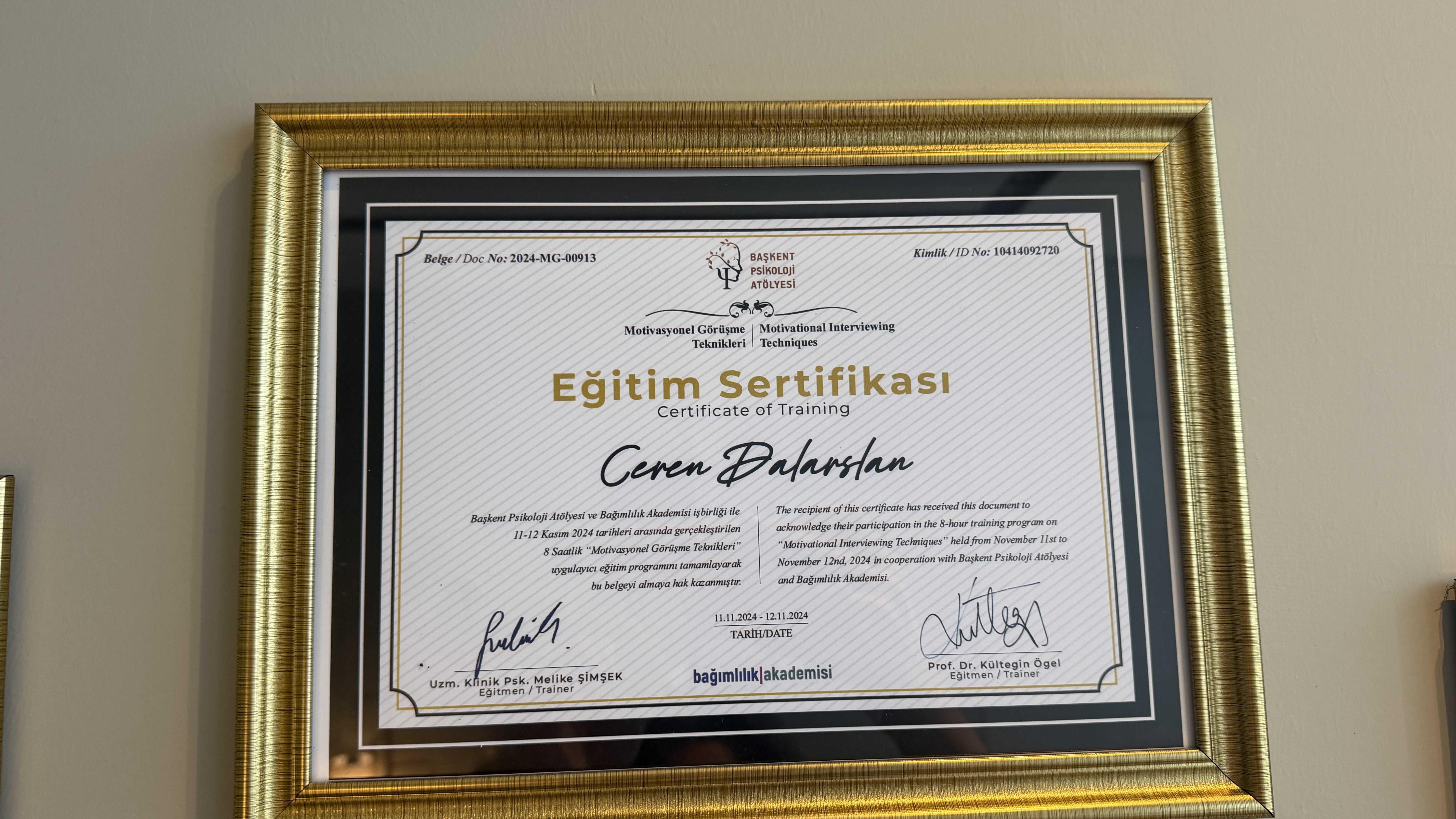 Motivasyonel Görüşme Teknikleri sertifikası