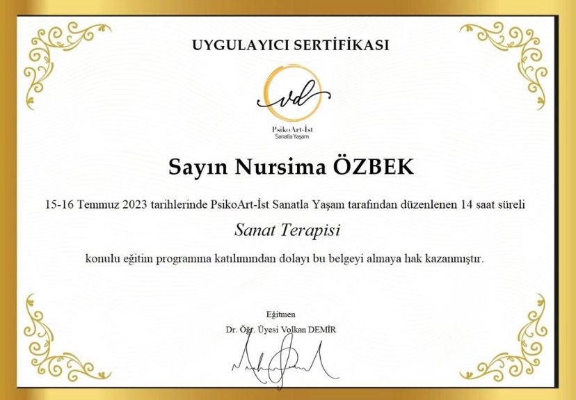 Sanat Terapisi sertifikası