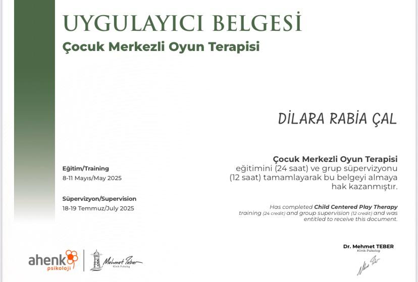 Oyun Terapisi sertifikası