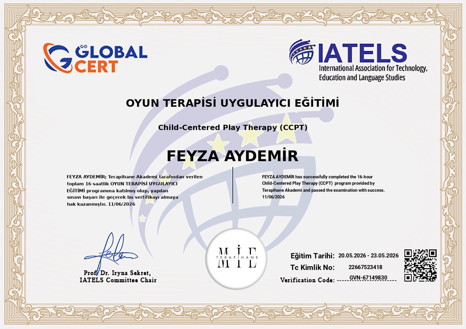 Çocuk Merkezli Oyun Terapisi Eğitimi sertifikası
